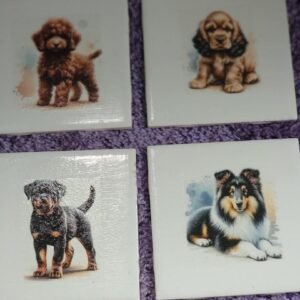 CERAMIC COASTERS SET OF 4