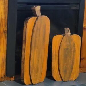 OUTDOOR/INDOOR PUMPKIN SET 2PEICE